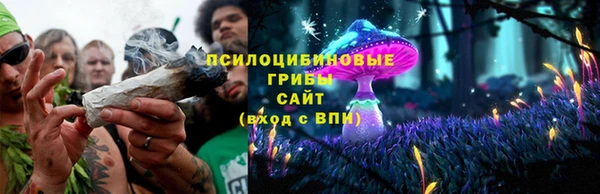 трава Вязьма
